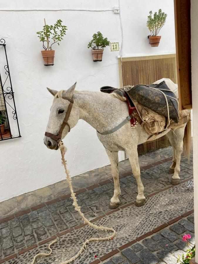 Casa Rural Villa Sila Benalauría Exteriör bild
